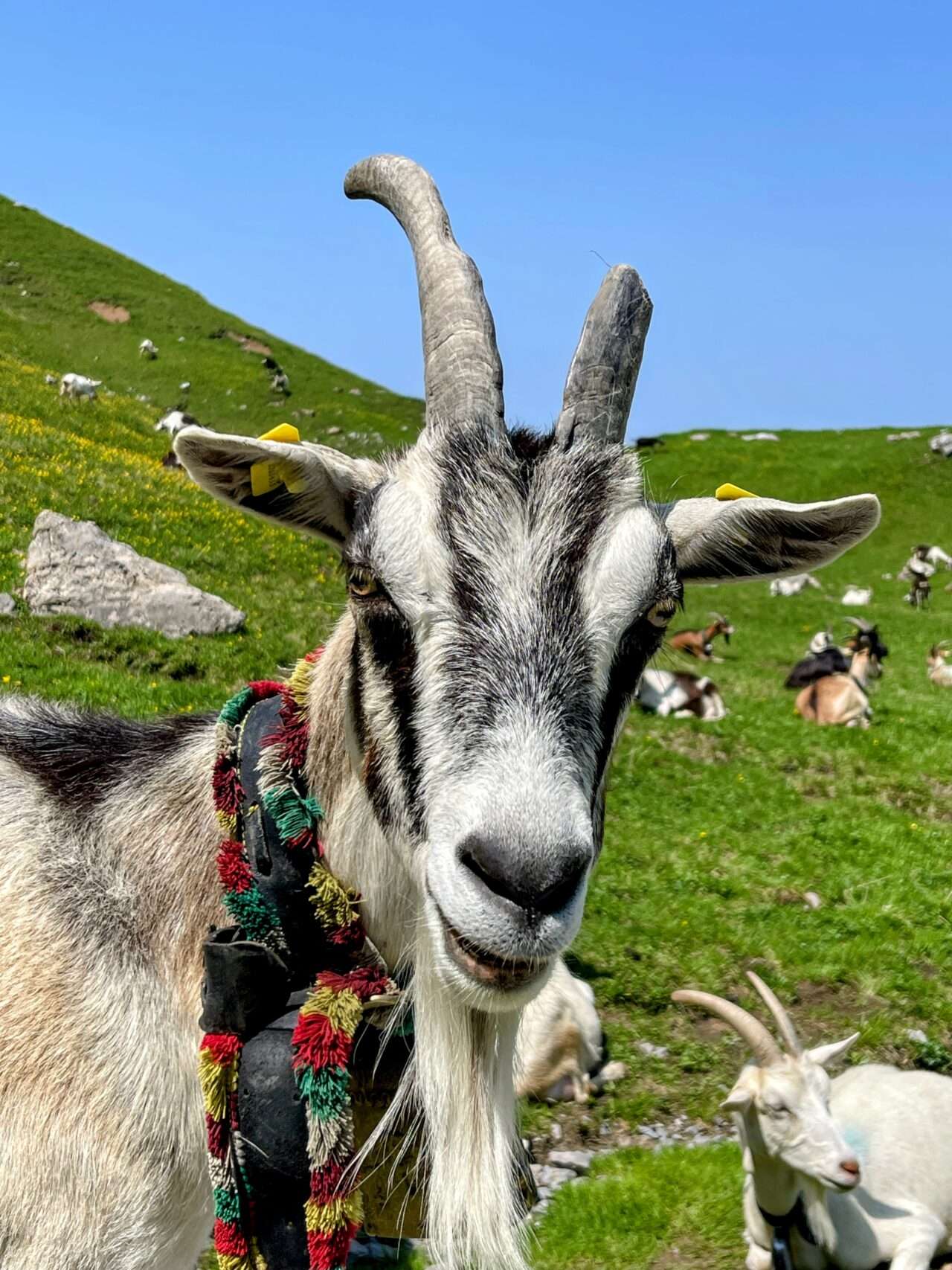 wanderung_engelberg_brunni_bannalp_walenpfad_