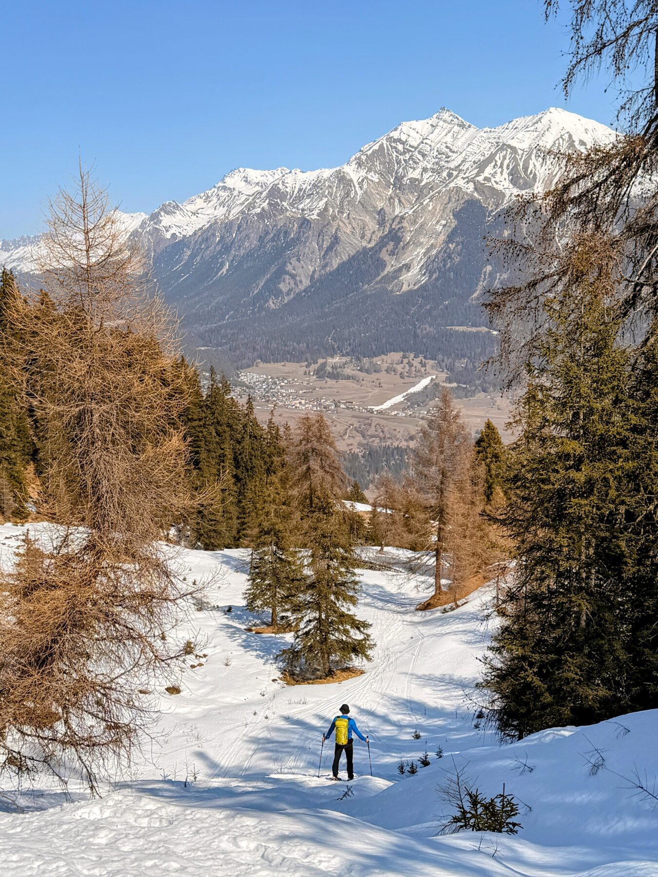 schneeschuhsafari_graubuenden_salouf_munter__IMG_0697
