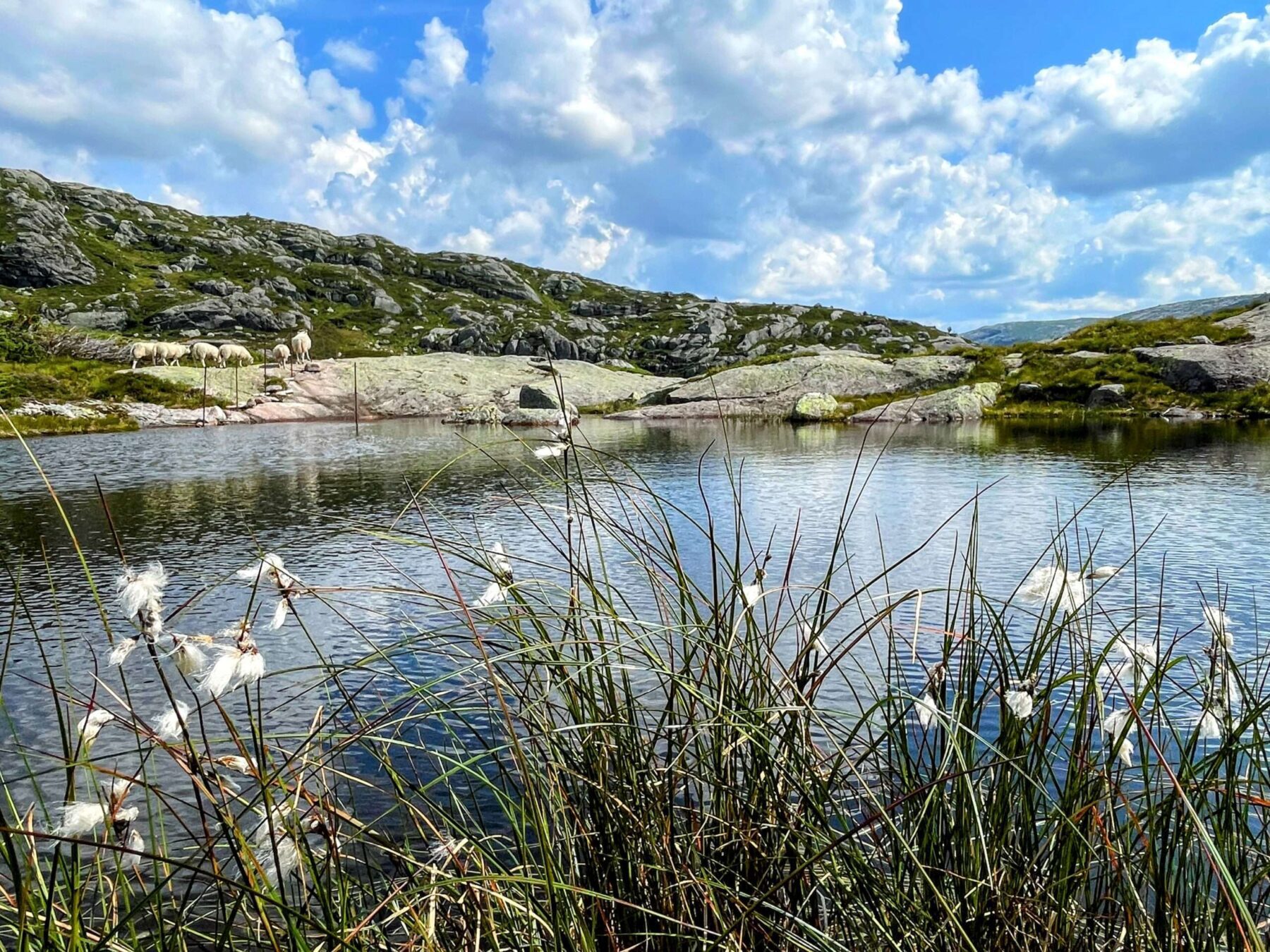 wanderung_eikeskog_blafjellenden_