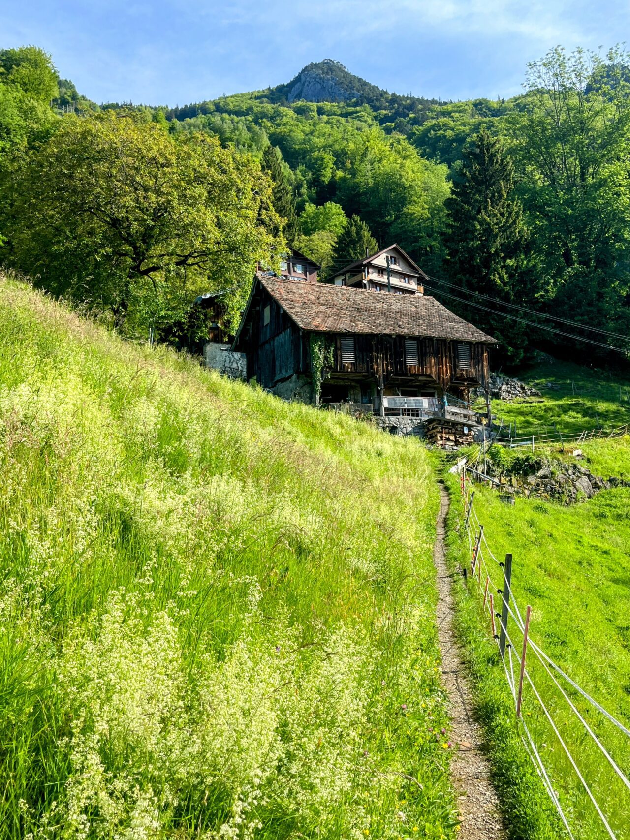 wanderung_brunnen_urmiberg_schwand_stockflue_