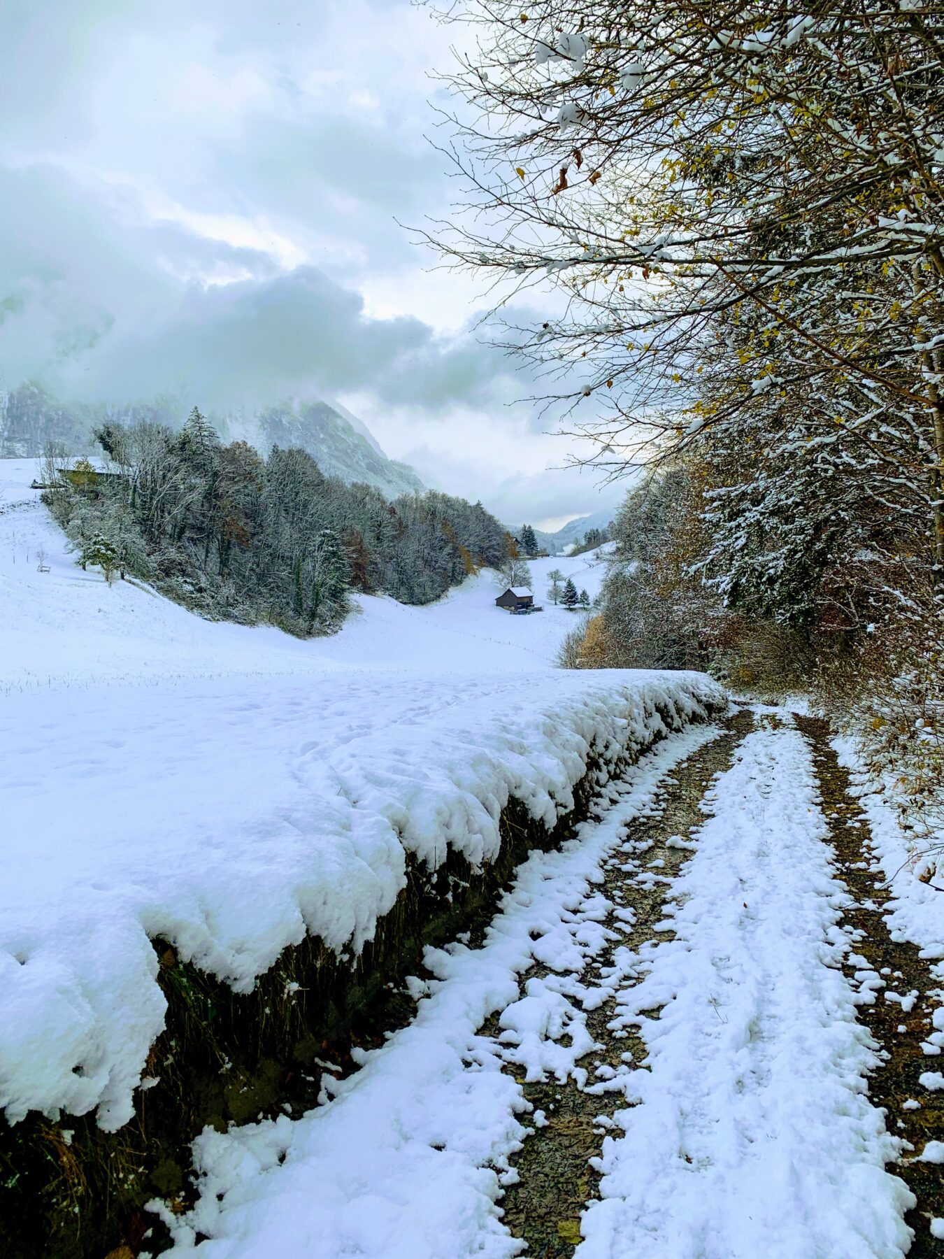 via_alpina_etappe_1_gaflei_sargans_