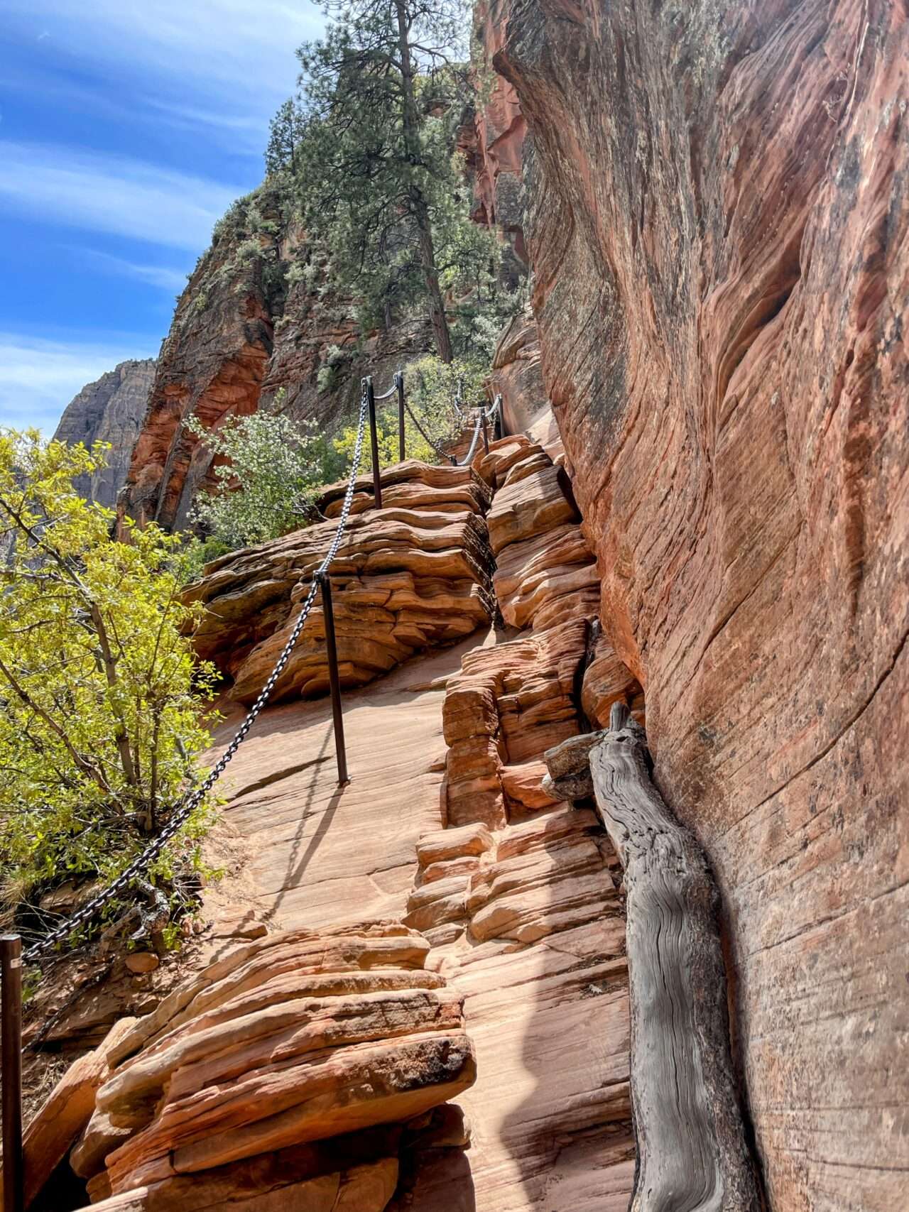 wanderung_zion_nationalpark_angels_landing_