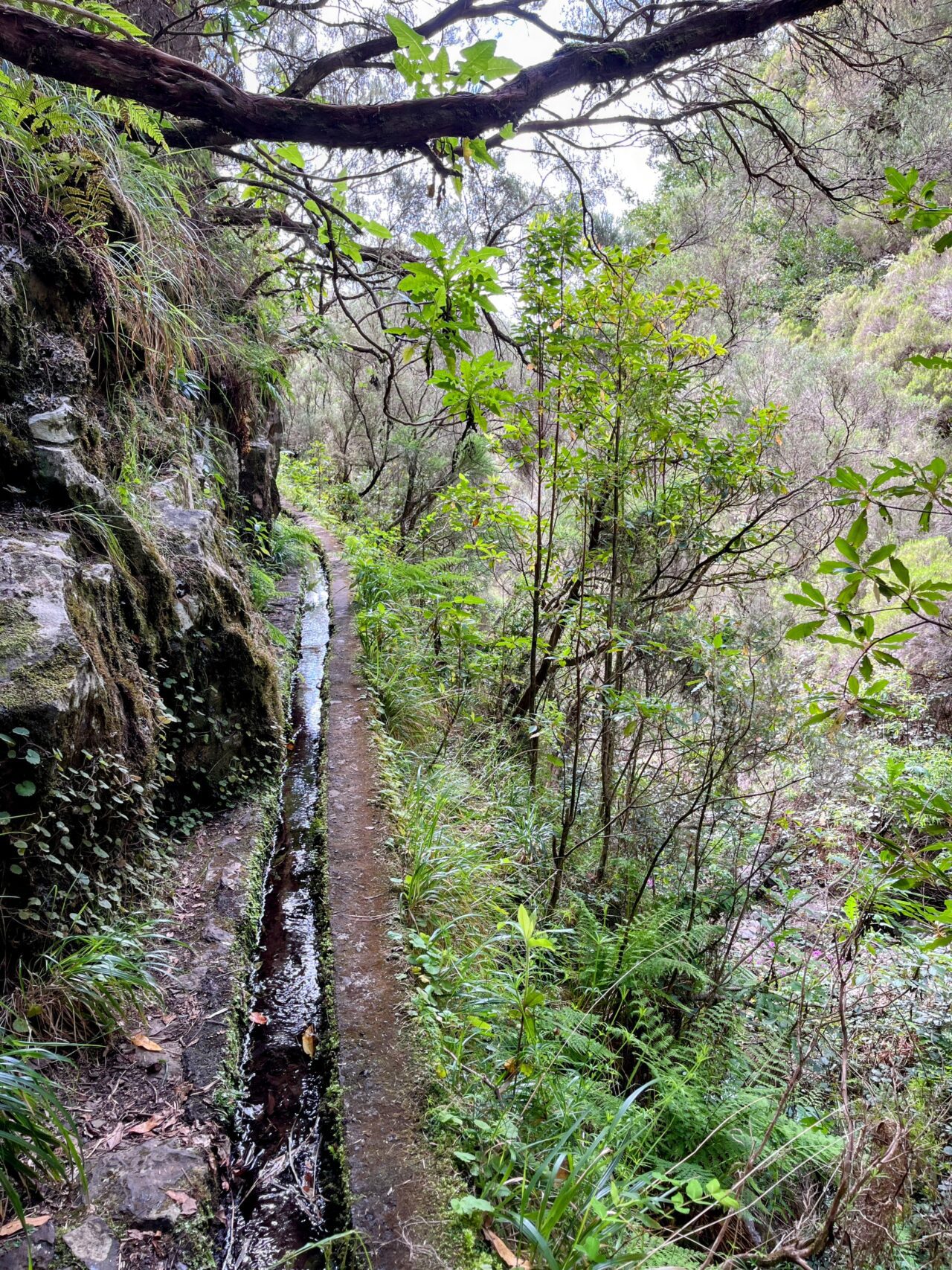 wanderung_wanderung_25_fontes_risco_