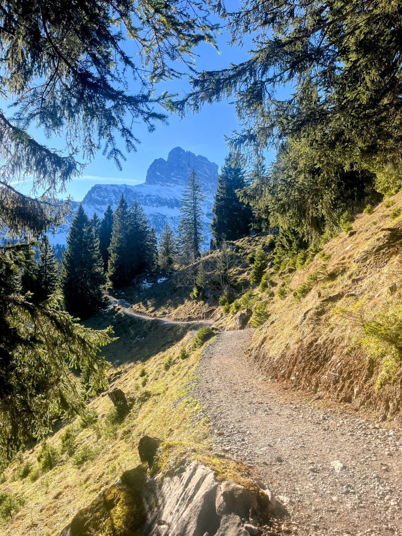 wanderung_oberblegisee_