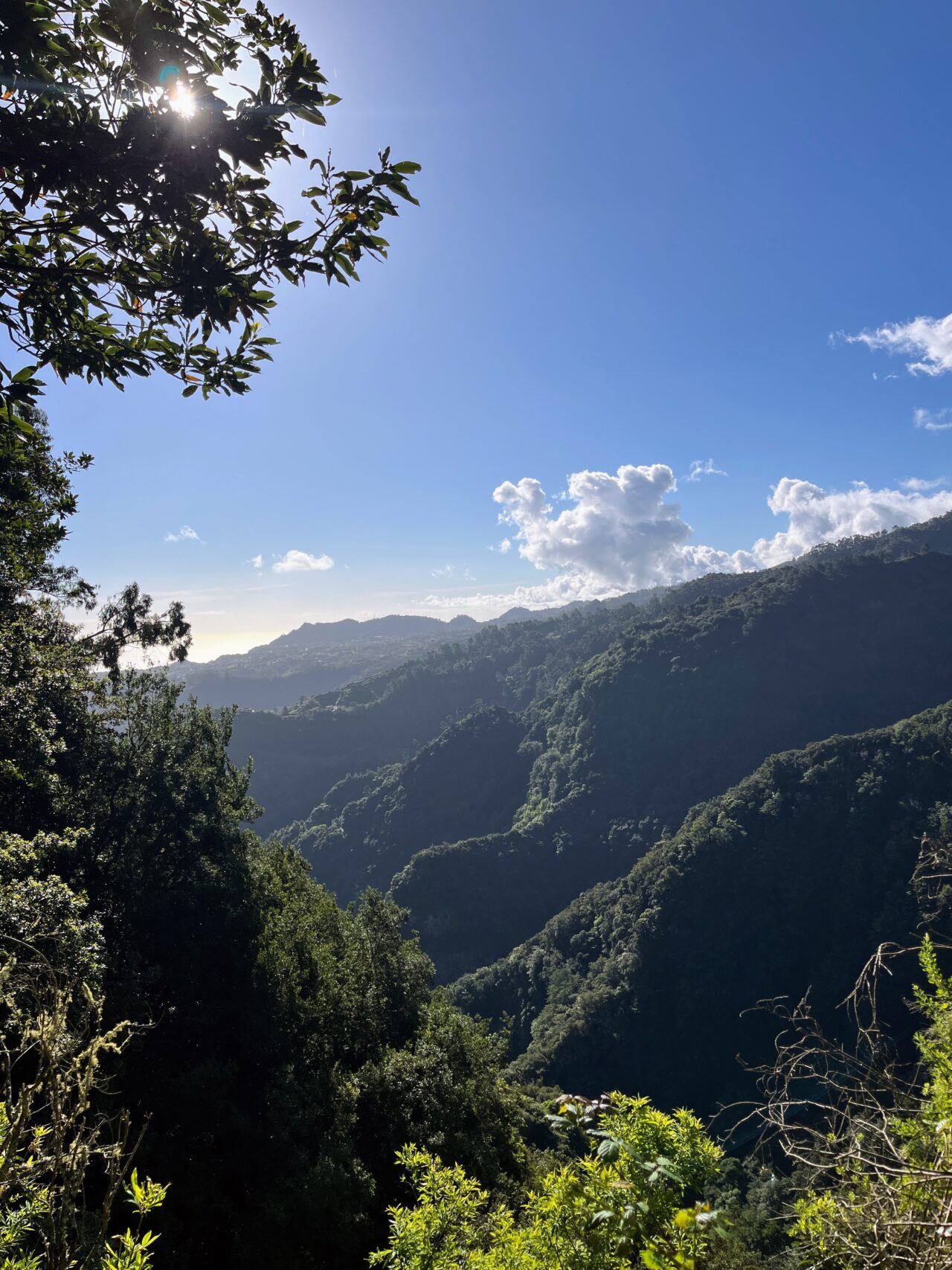 wanderung_levada_do_rei_pr18_