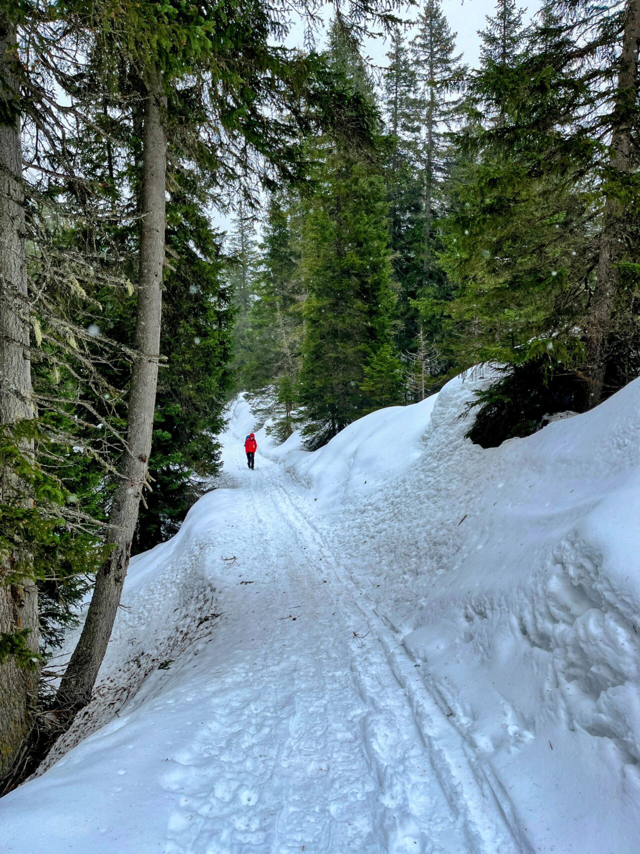 winterwanderung_und_schlitteln_lindauer_huette__IMG_4461
