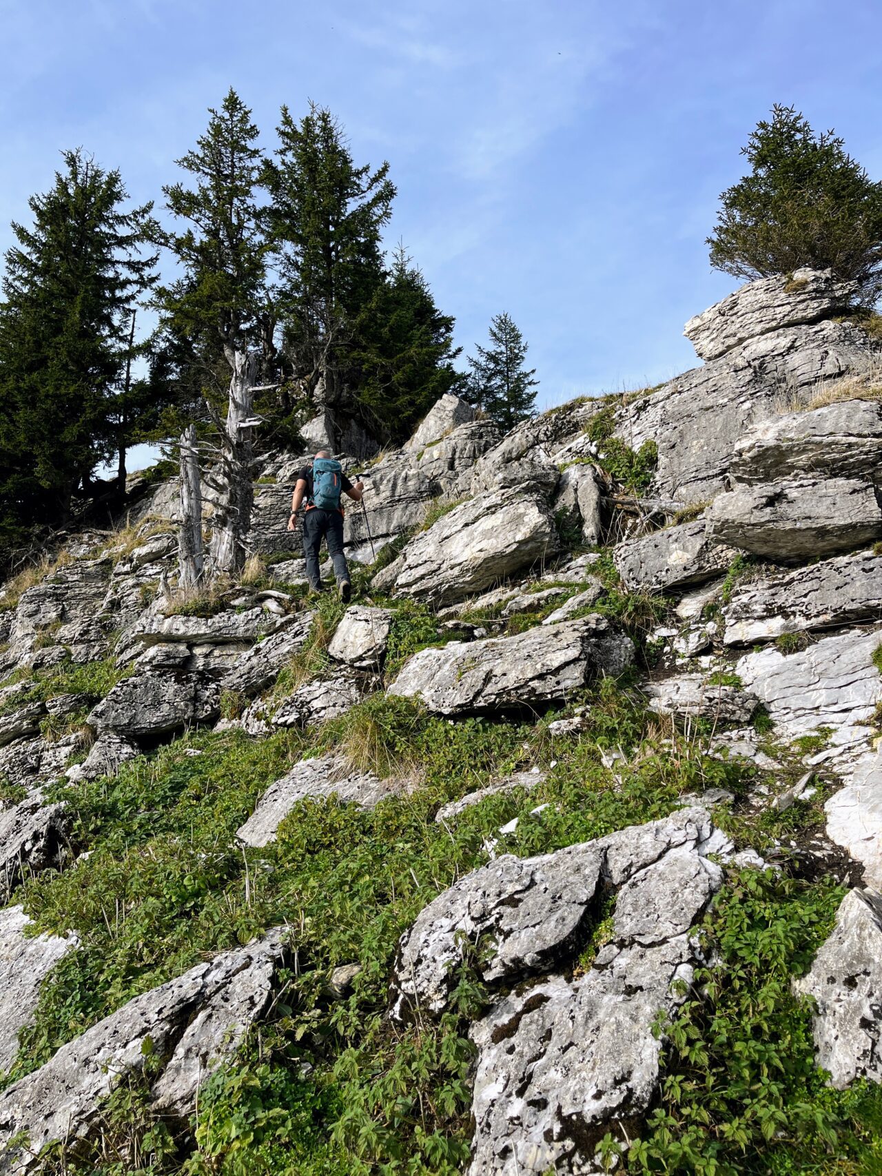 wanderung_waegitalersee_gross_aubrig_