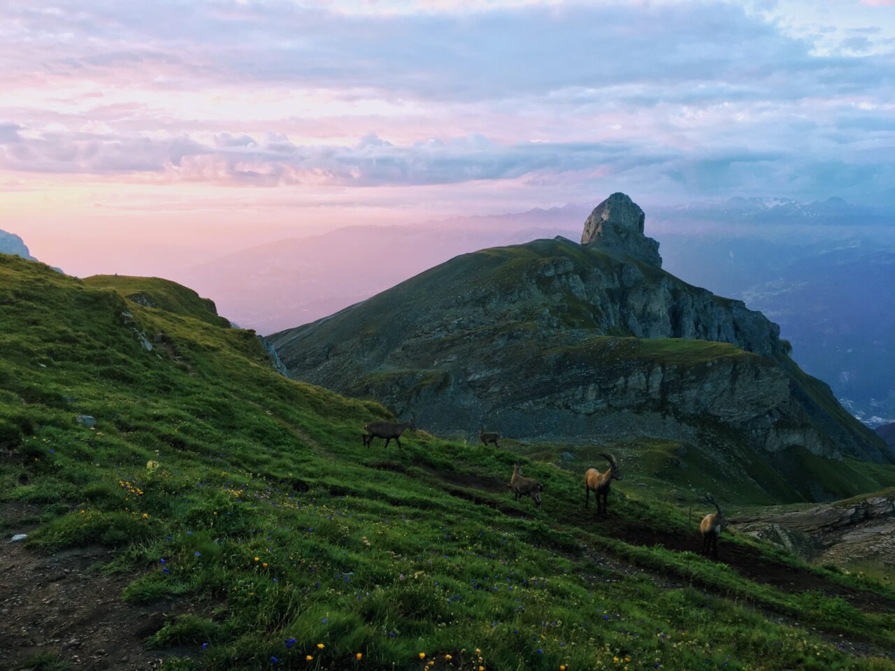 wanderung_tour_des_muverans_
