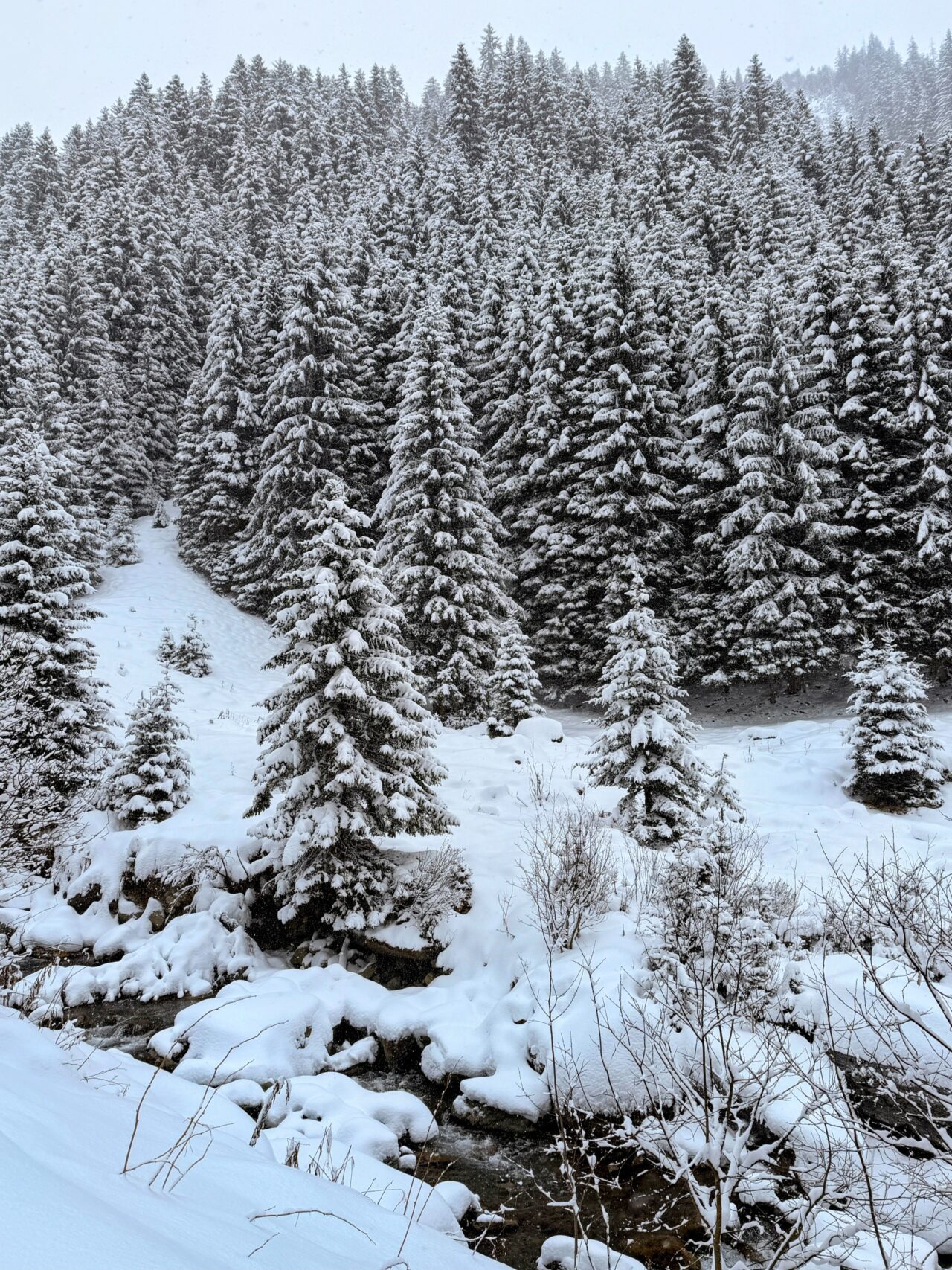 schneeschuhwanderung_klosters_schlappin__IMG_8888