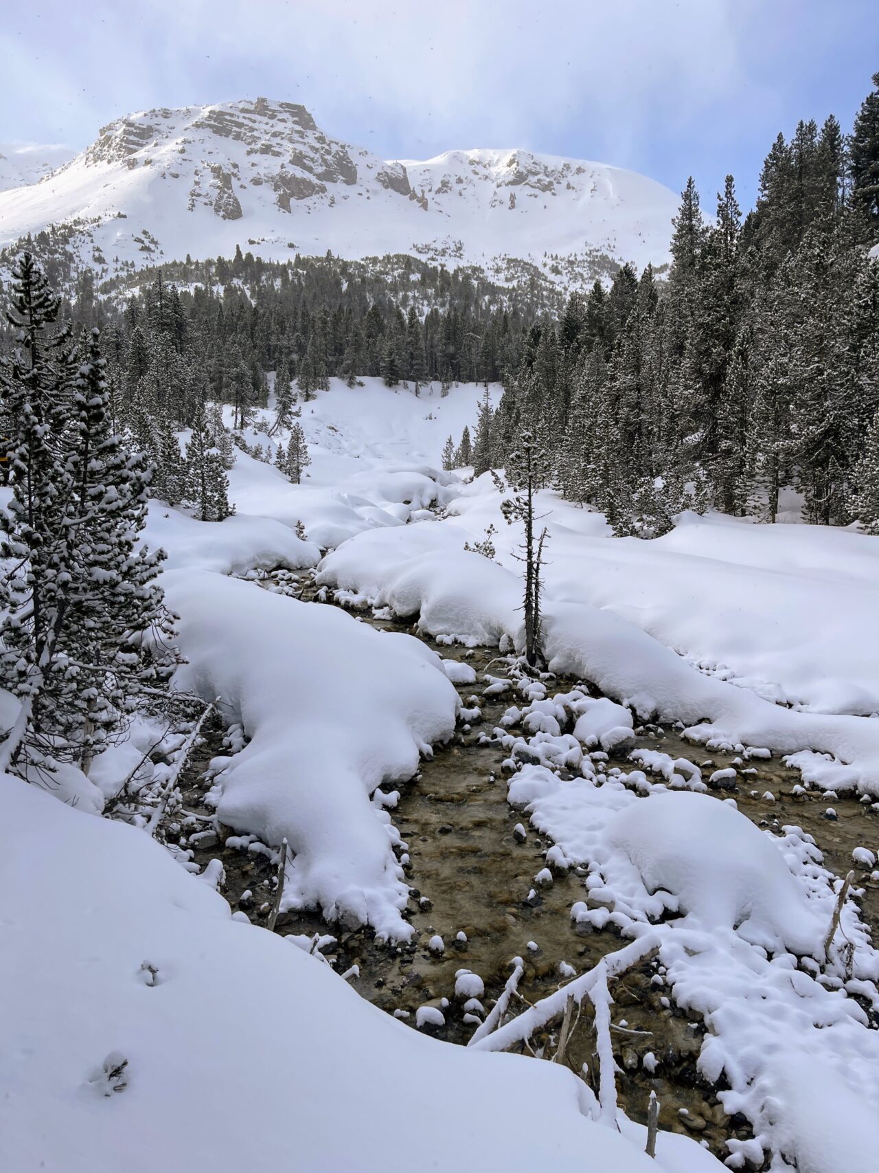 schneeschuhtour_buffalora_