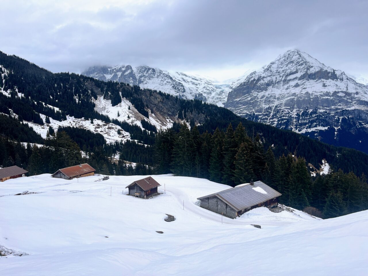 schneeschuhwanderung_panoramaweg_bussalp_bort__IMG_3868