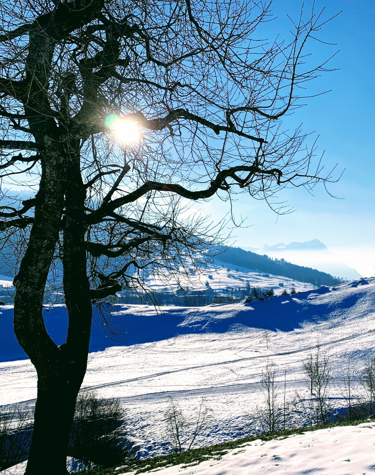 schneeschuhtour_halsegg_