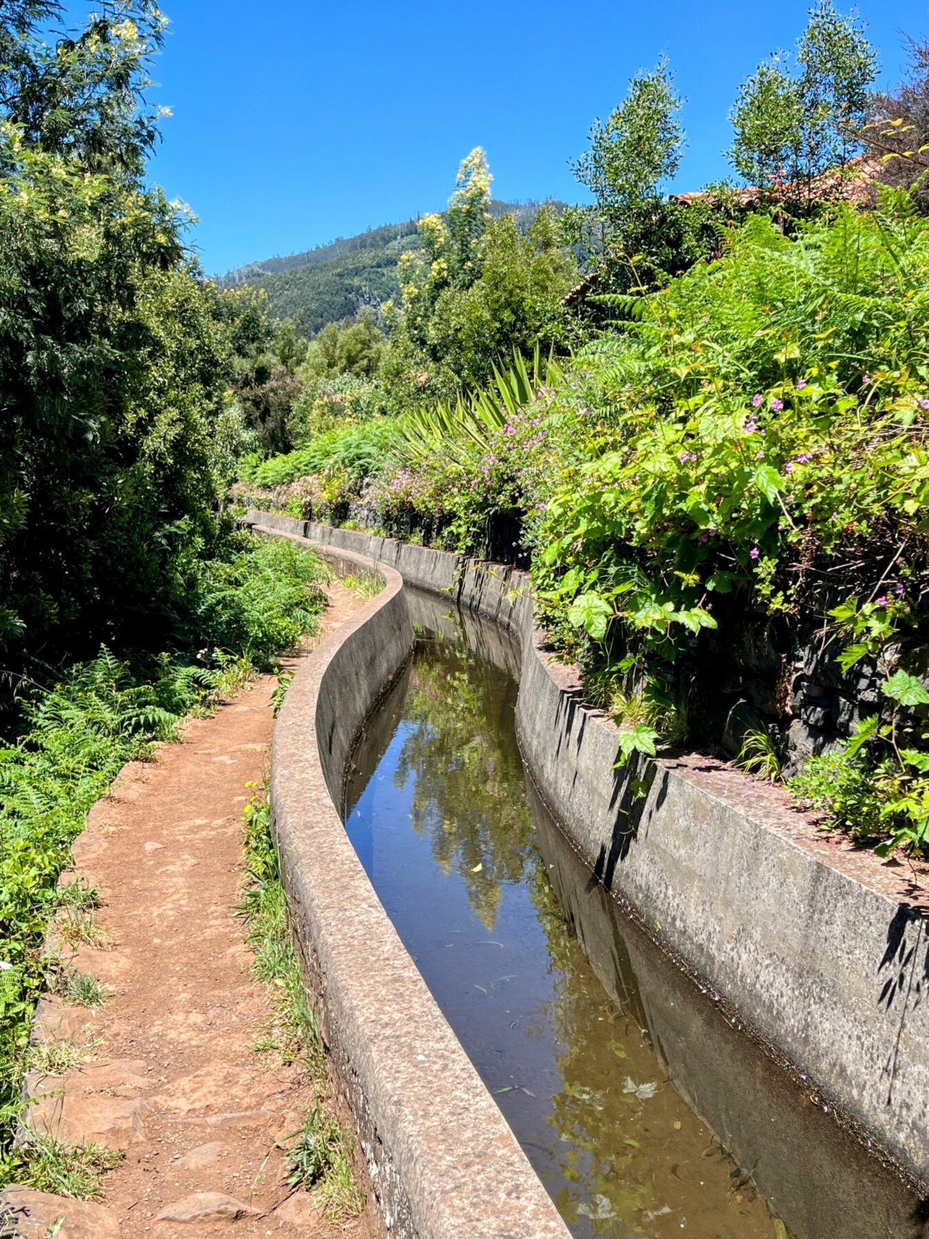wanderung_monte_botanischer_garten_funchal_