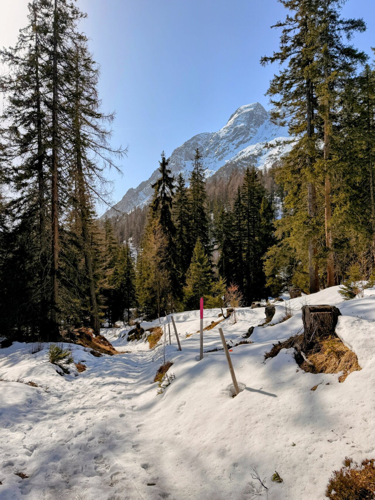 schneeschuhsafari_graubuenden_salouf_munter__IMG_0652