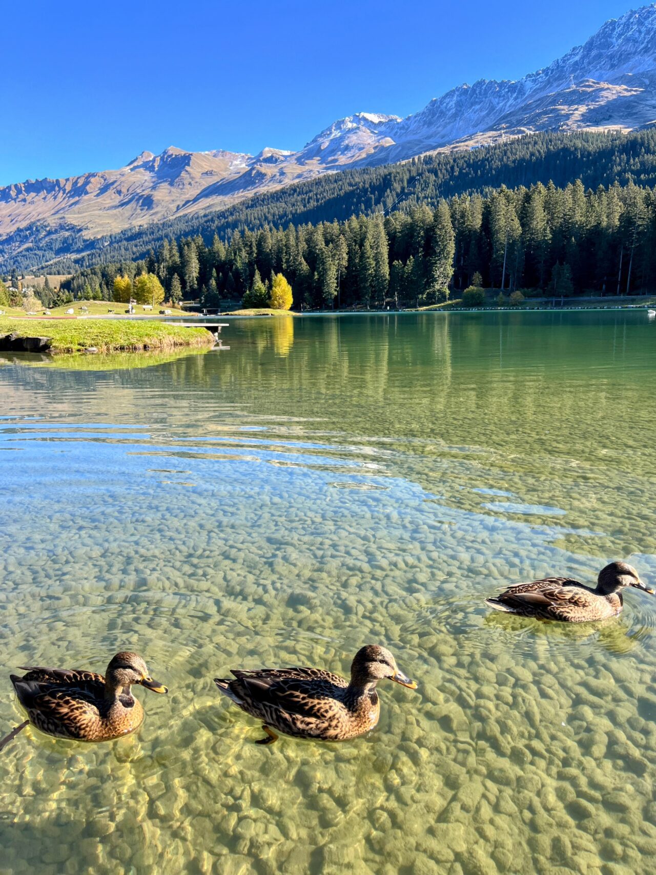 wanderung-via-sett-lenzerheide-churwalden-