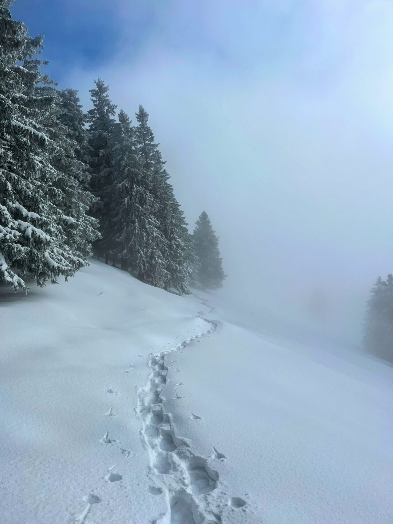 schneeschuhwanderung_wildspitz__IMG_2228