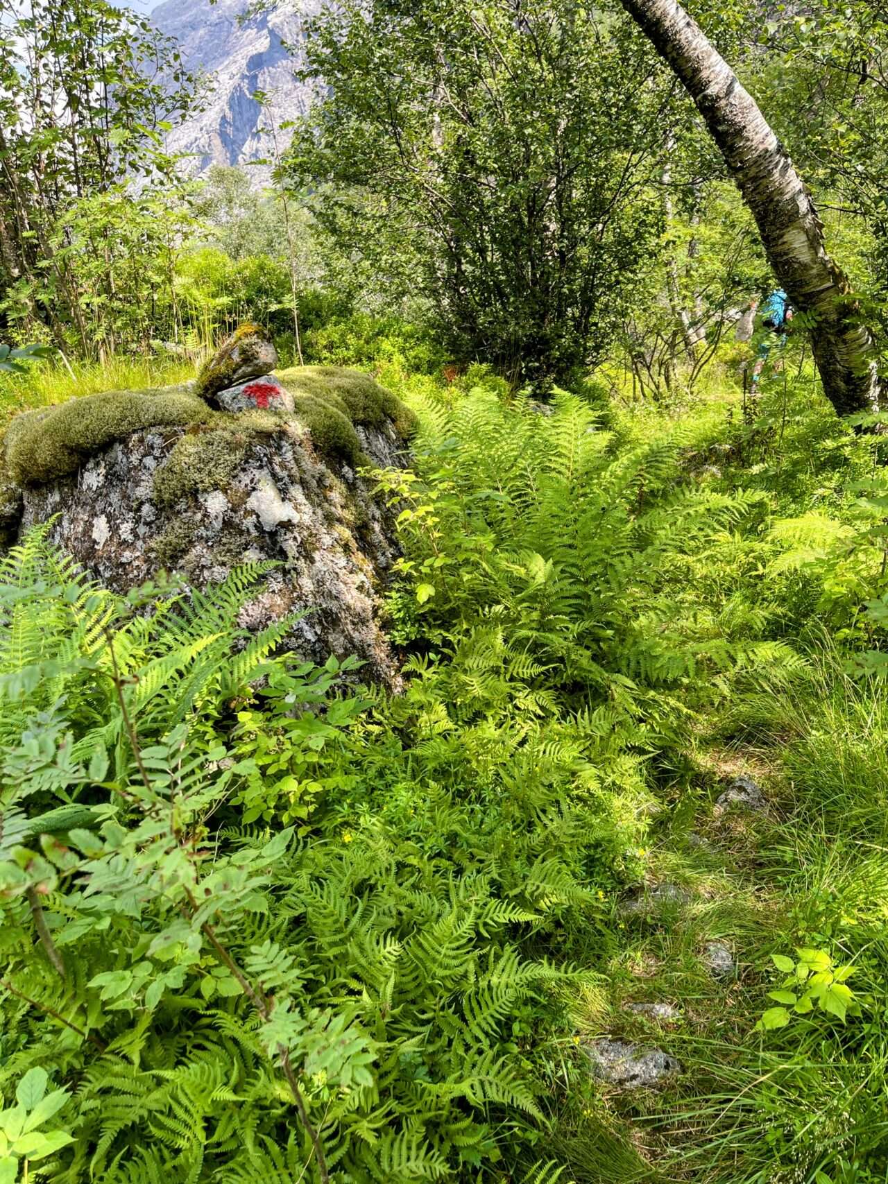 wanderung_eikeskog_blafjellenden_