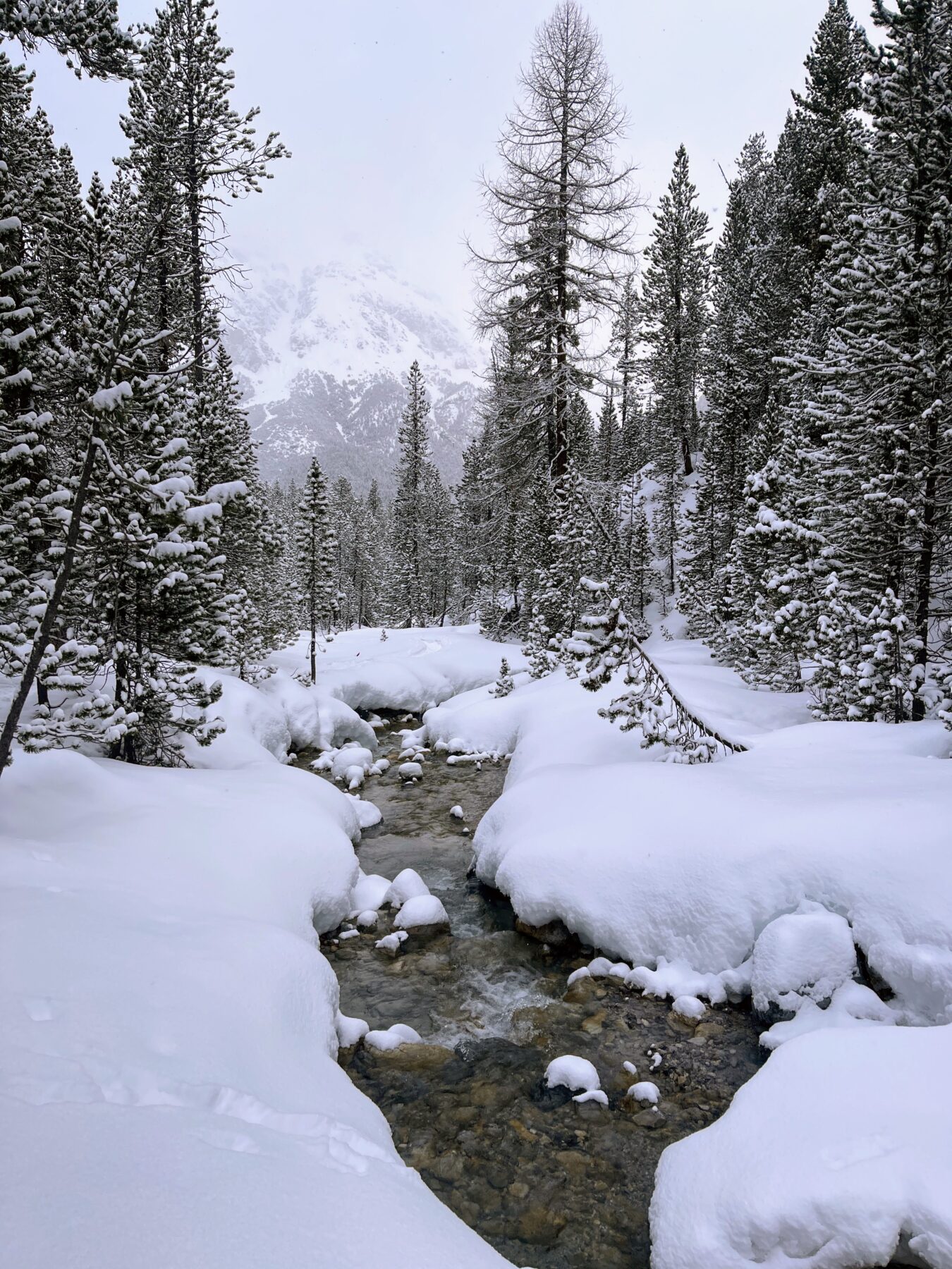 schneeschuhtour_buffalora_