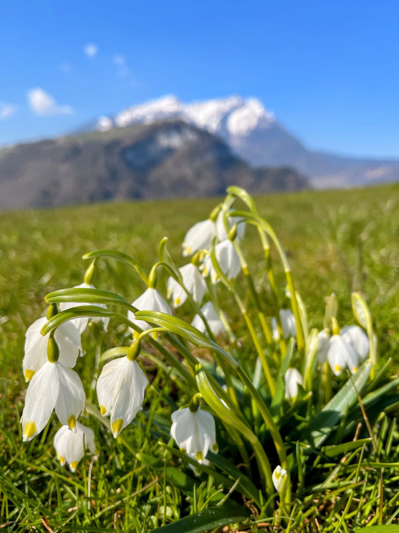 wanderung_kerns_buochs_