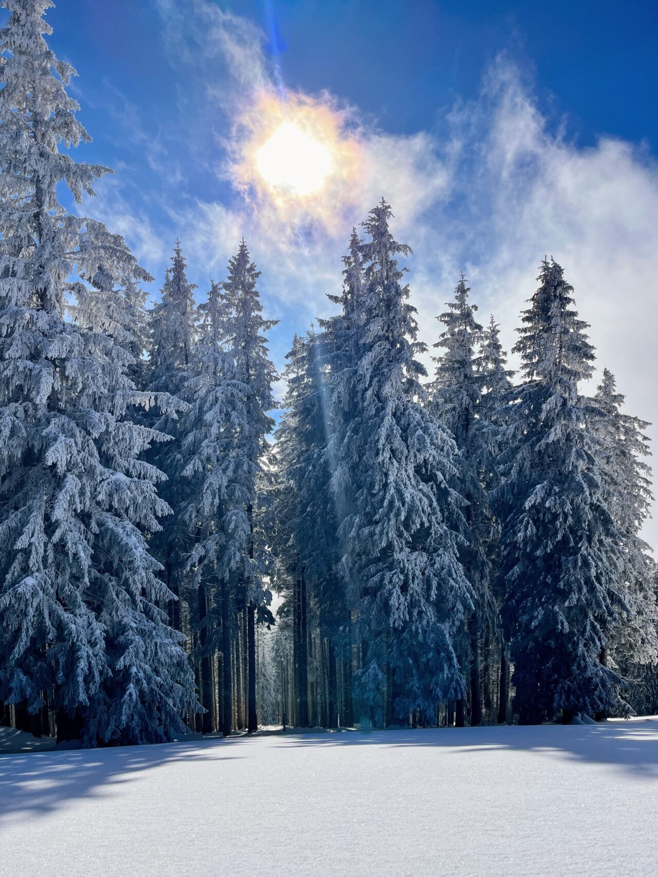 schneeschuhwanderung_wildspitz__IMG_2251
