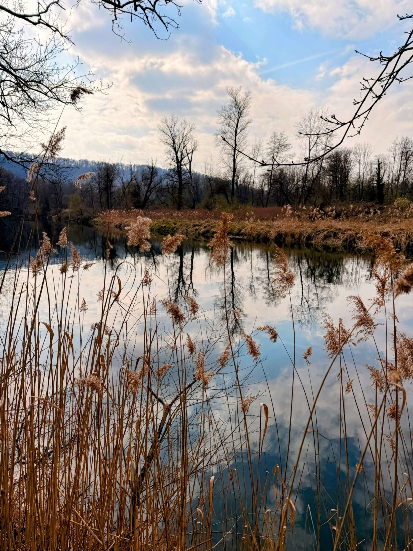 wanderung_reuss_und_aare_wanderung_mellingen_brugg_wildegg_