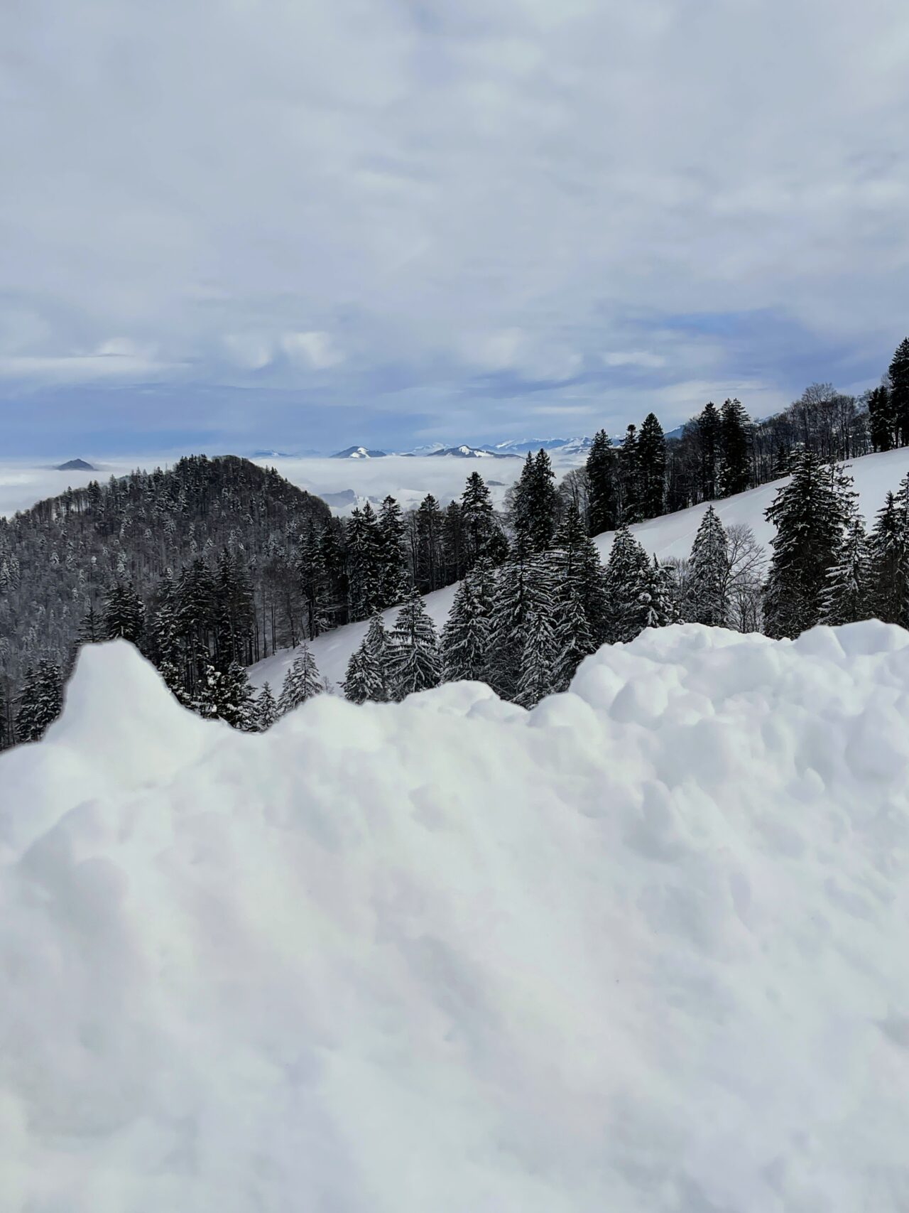 schneeschuhwanderung_atzmaennig_chruezegg_