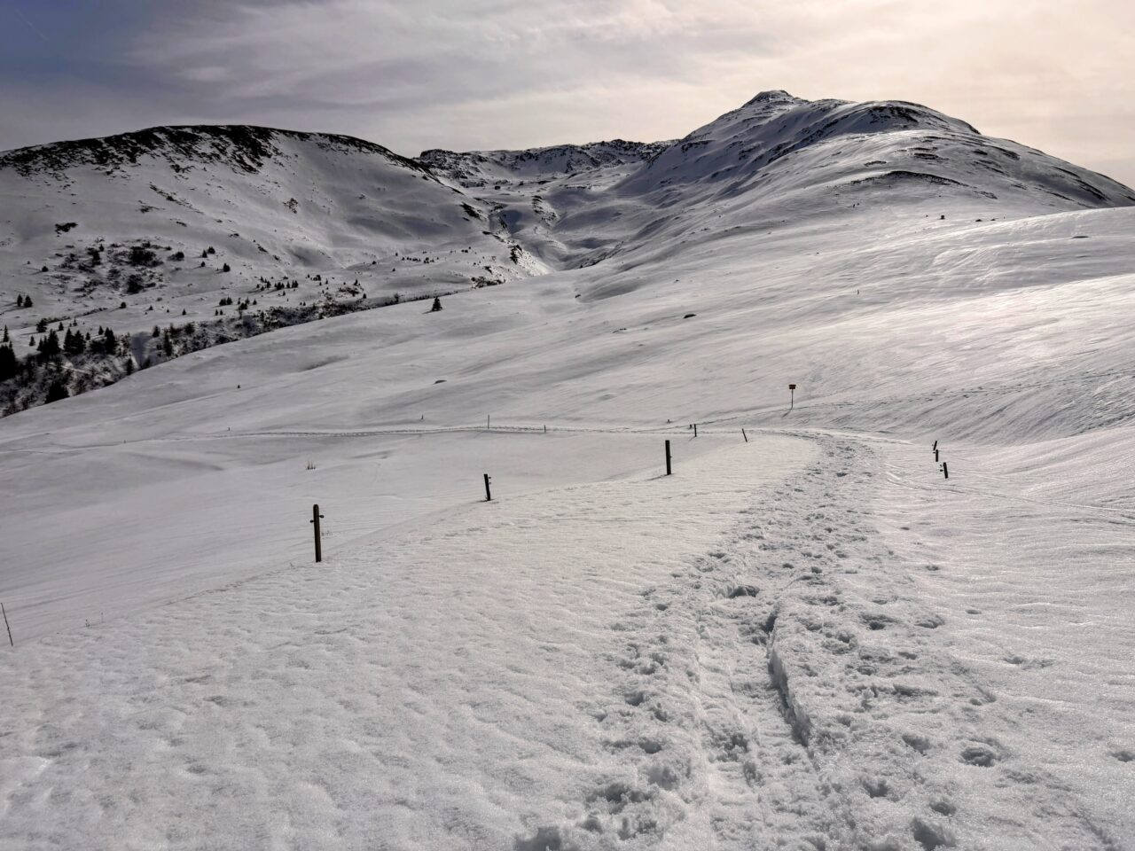 schneeschuhsafari-graubuenden-sedrun-disentis-_IMG_0320
