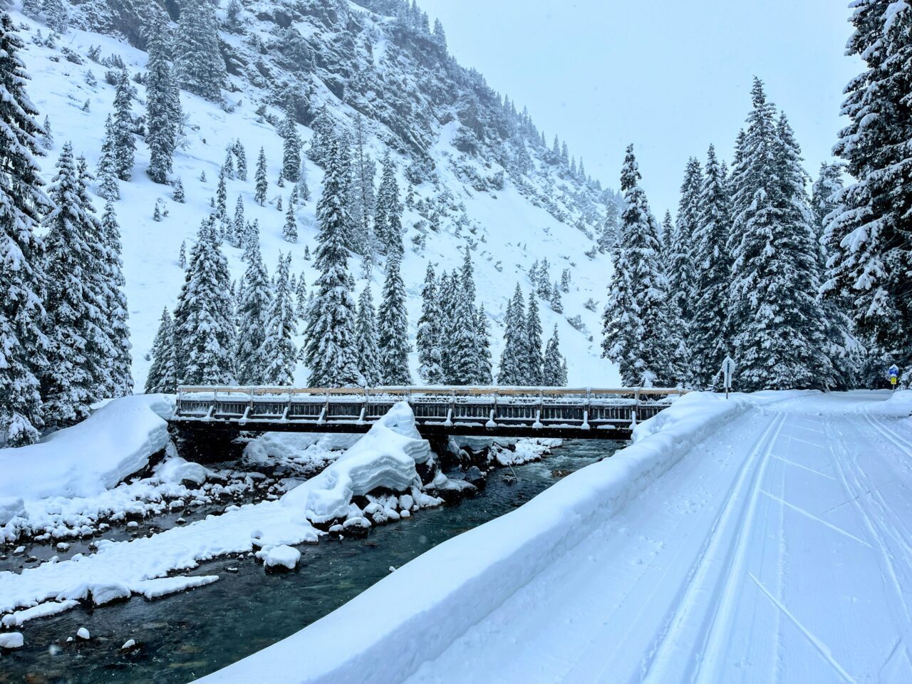 winterwanderung_lech_zug_vorderes_aelpele__IMG_4514