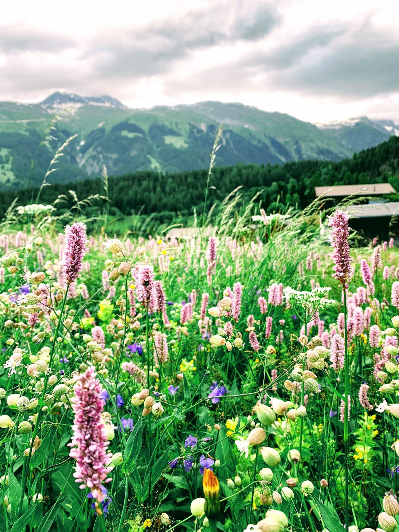 wanderung_fiesch_ernen_