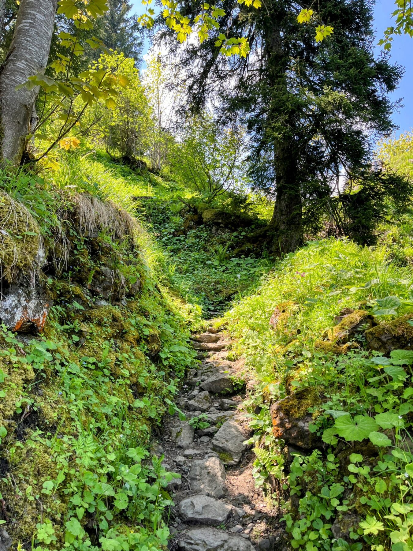 wanderung_niederbauen_chulm_