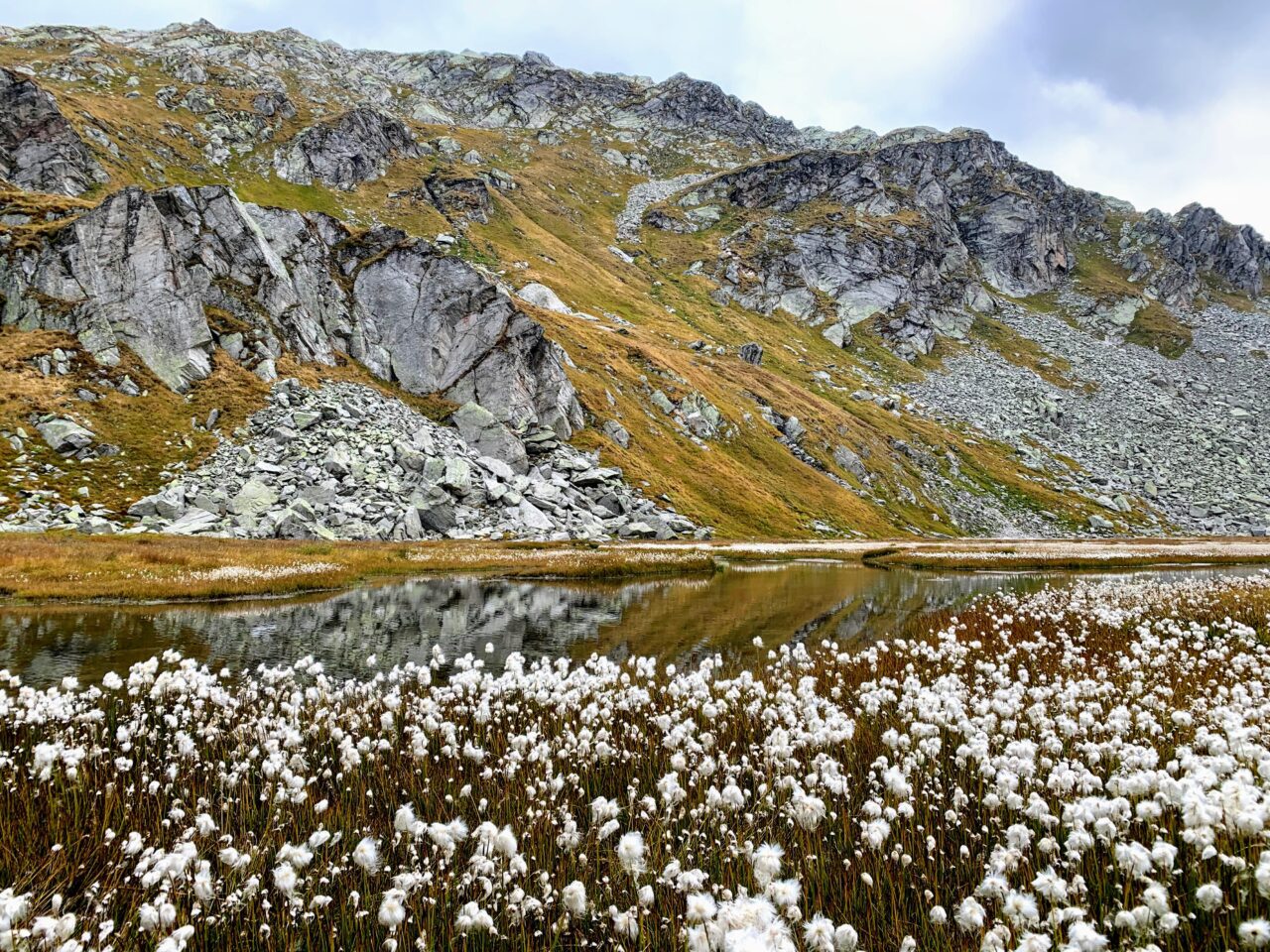 wanderung_greinaebene_vrin_terrihuette_motterasciohuette_scalettahuette_