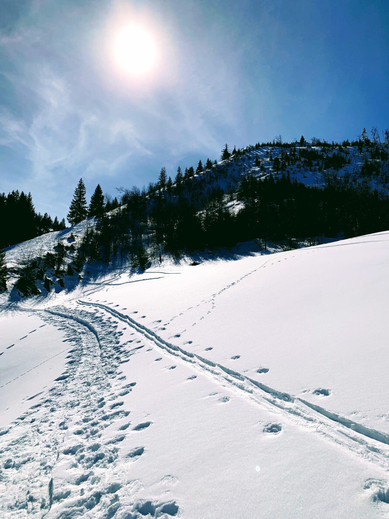 schneeschuhwanderung_spitalgipfel_