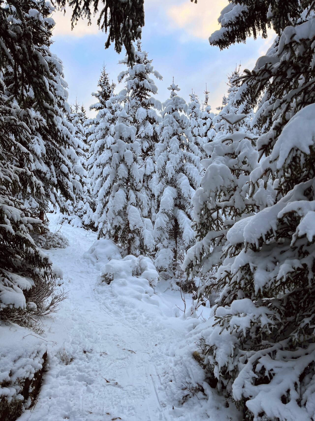schneeschuhwanderung-furggelenstock-_IMG_9242 (Kopie)