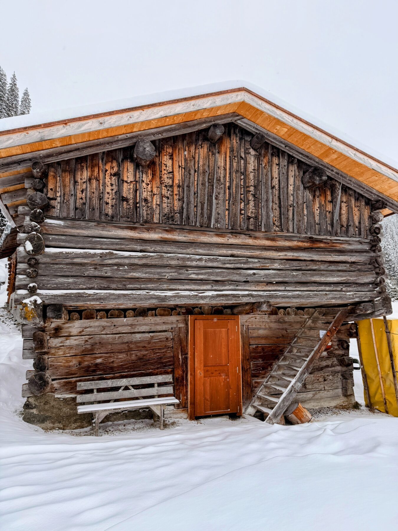 schneeschuhwanderung_klosters_schlappin__IMG_8898