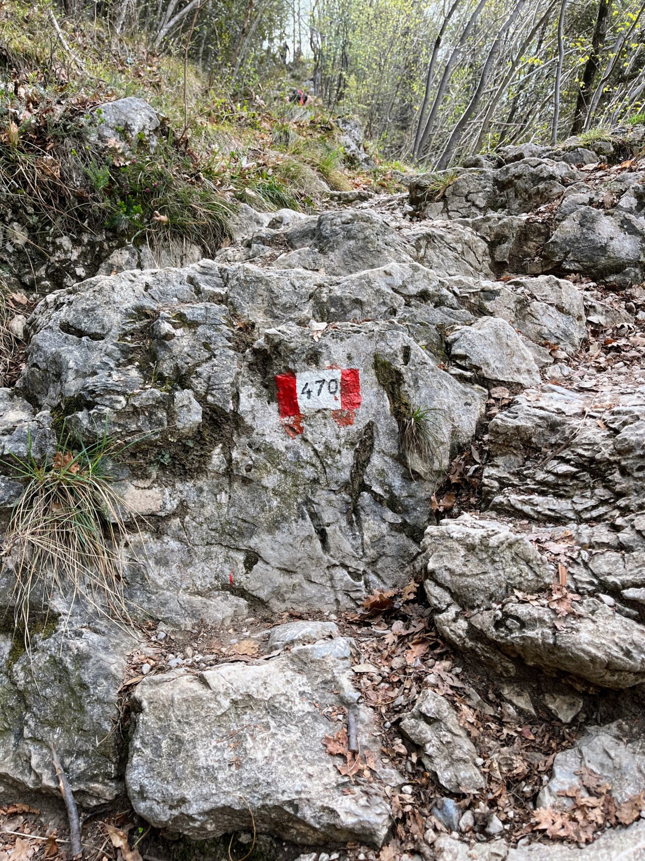 klettersteig_cima_capi_