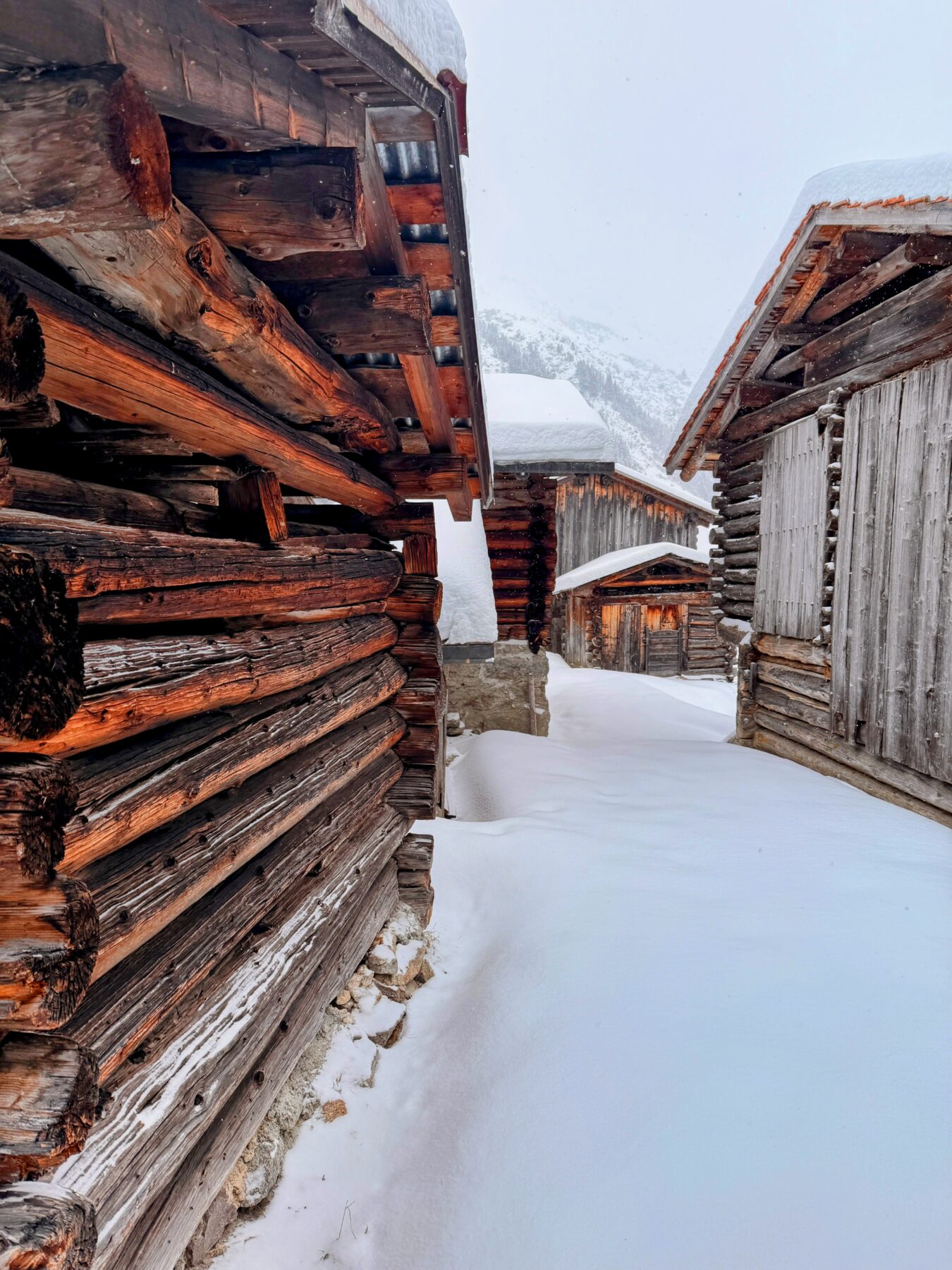 schneeschuhwanderung_klosters_schlappin__IMG_8918