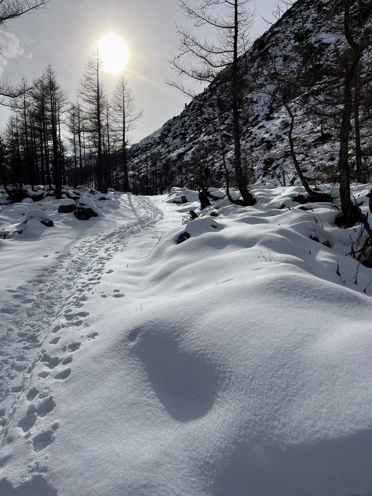 schneeschuhwanderung-mattmark-_IMG_9011