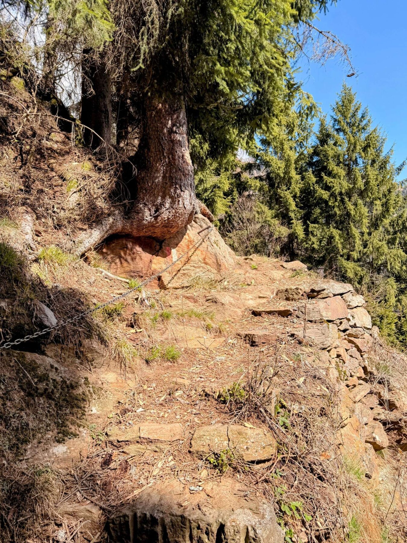 wanderung_Meraner_hoehenweg_hochmuth_mutthoefe_longfall_saltaus_