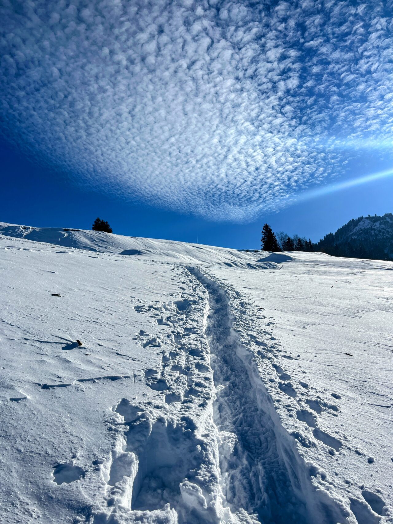schneeschuhwanderung_rothenthurm-nüsselstock-brunni__IMG_5551