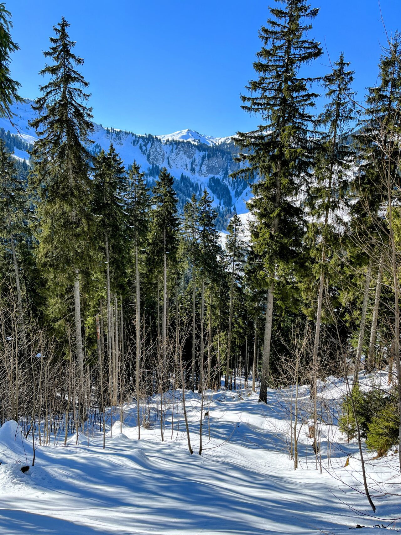 wanderung_druesberghütte__IMG_1315 (Kopie)