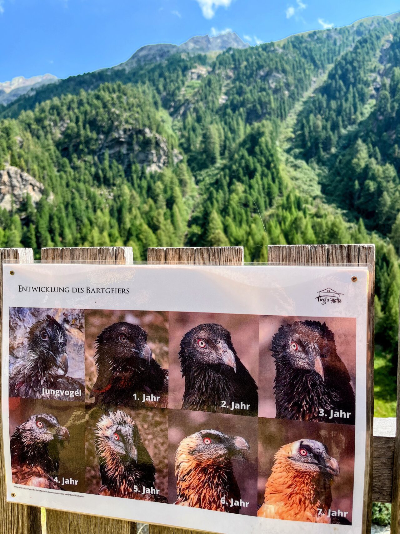 wanderung_brunnenkogelhaus_