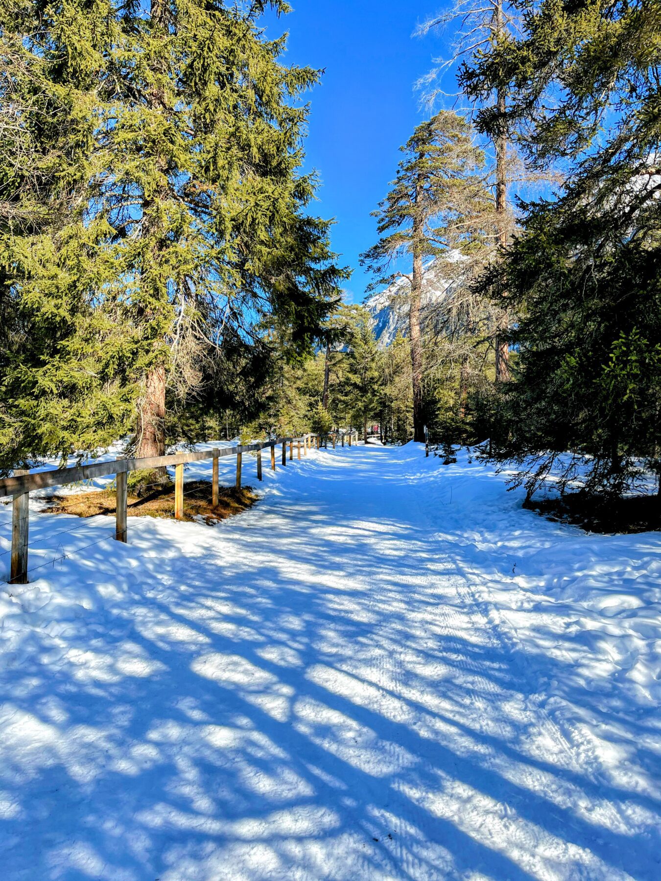schneeschuhwandern_lantsch__IMG_0281 (Kopie) (Kopie)