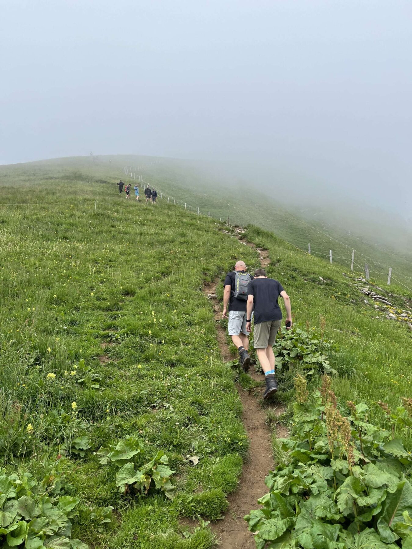 wanderung_buochserhorn_