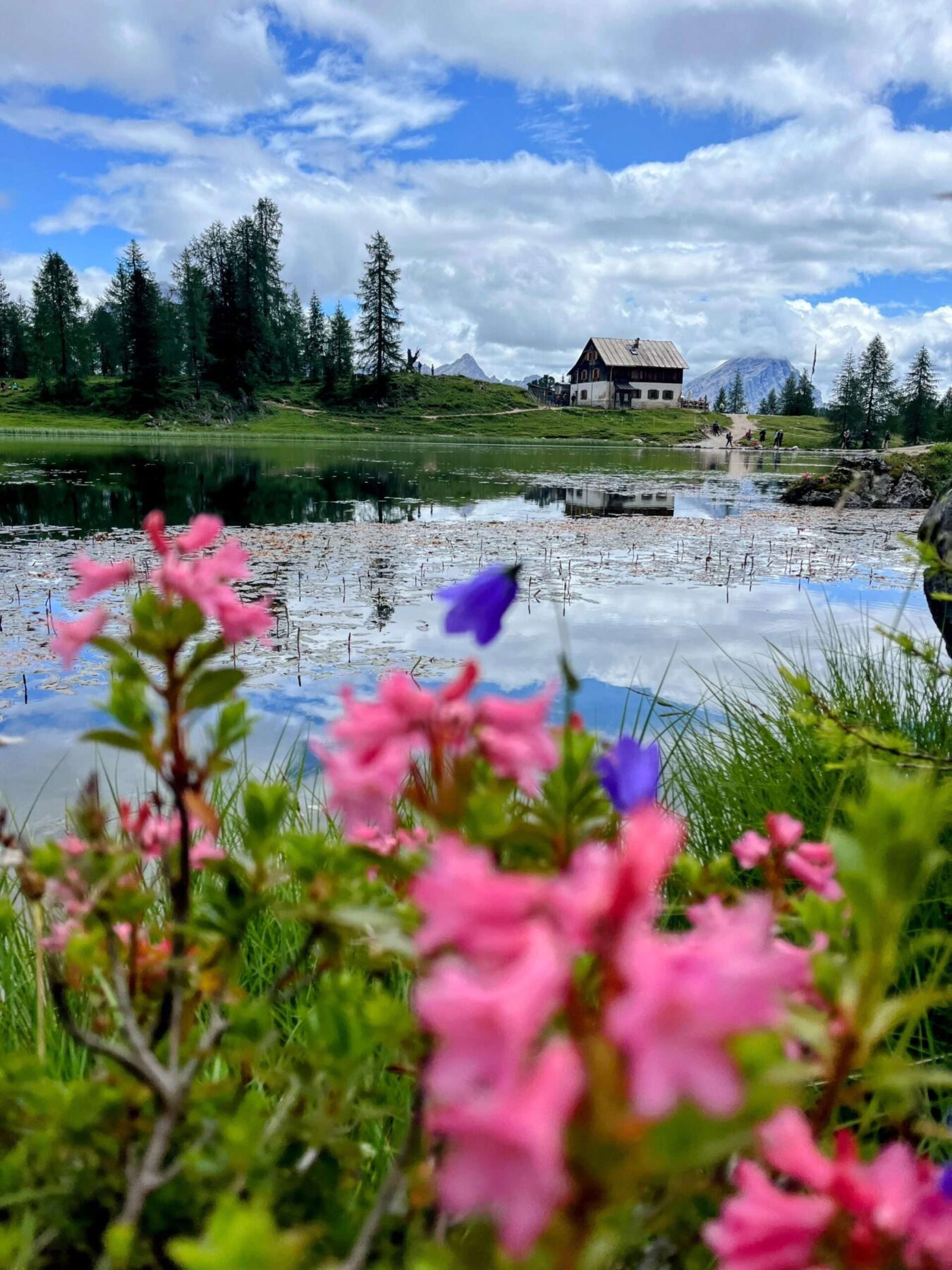 wanderung_dolomiten_hoehenweg_nr_1_etappe_5_rifugio_cinque_torri_rifugio_aquileia_