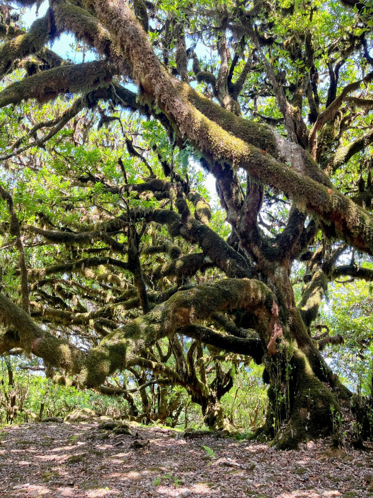 wanderung_fanal_