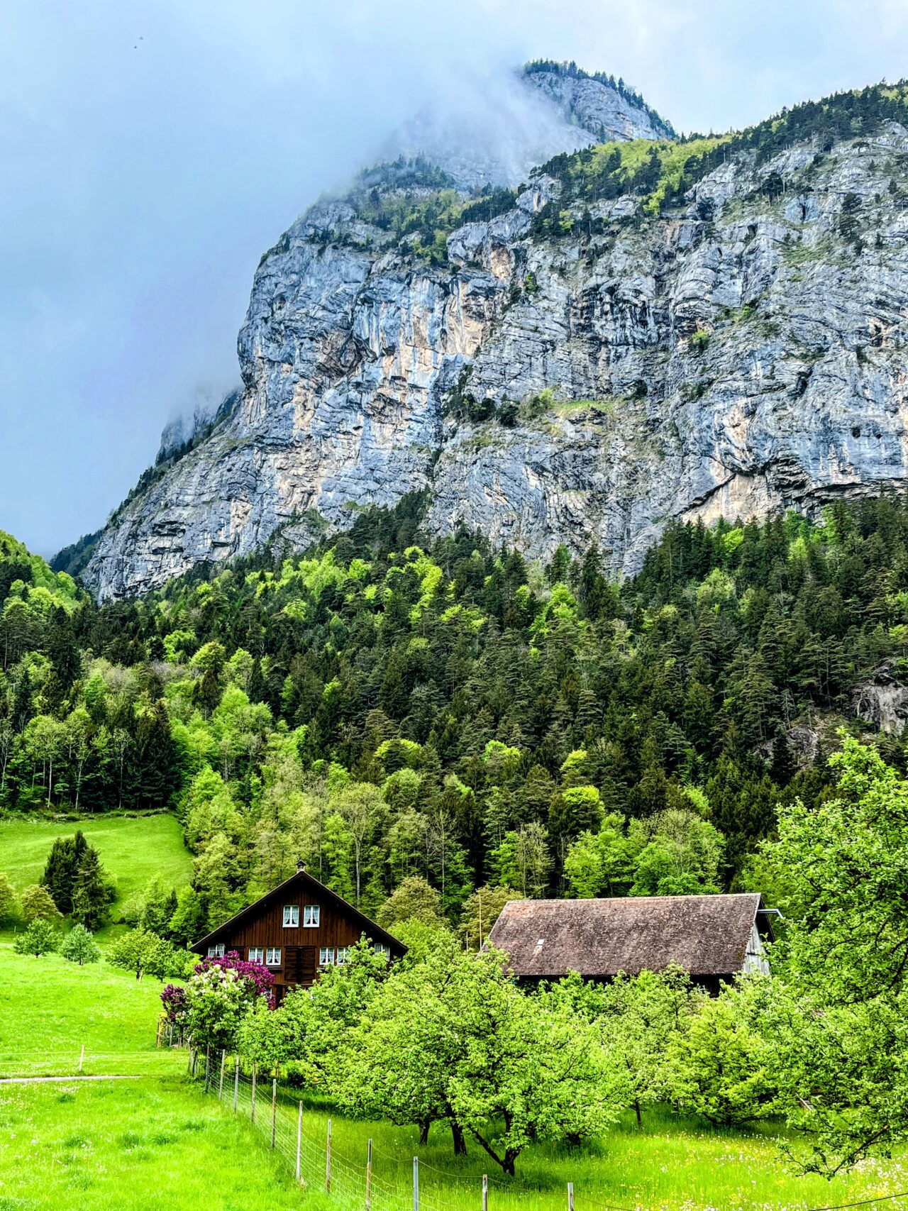 trans_swiss_trail_flüelen_amsteg_