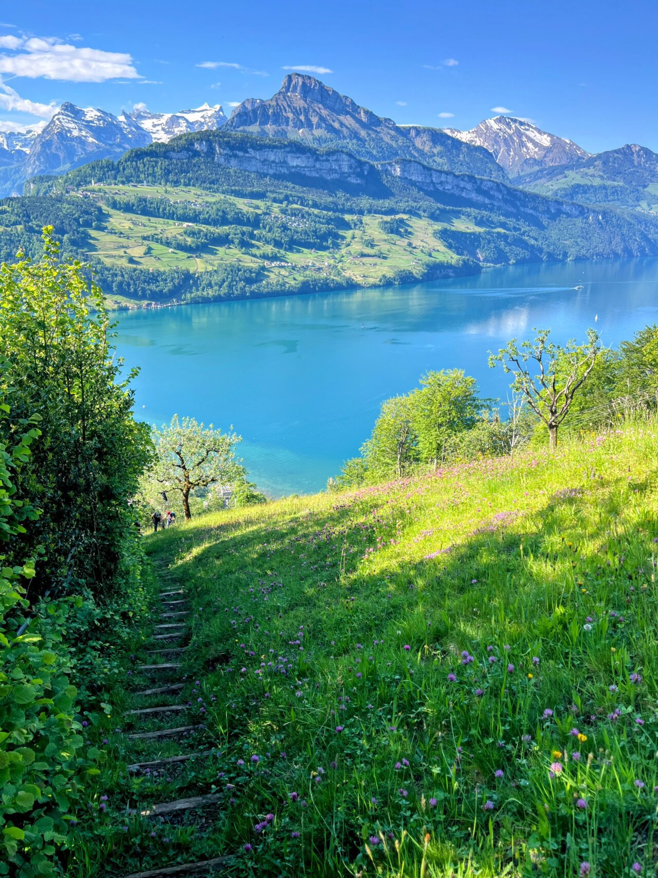 wanderung_brunnen_urmiberg_schwand_stockflue_