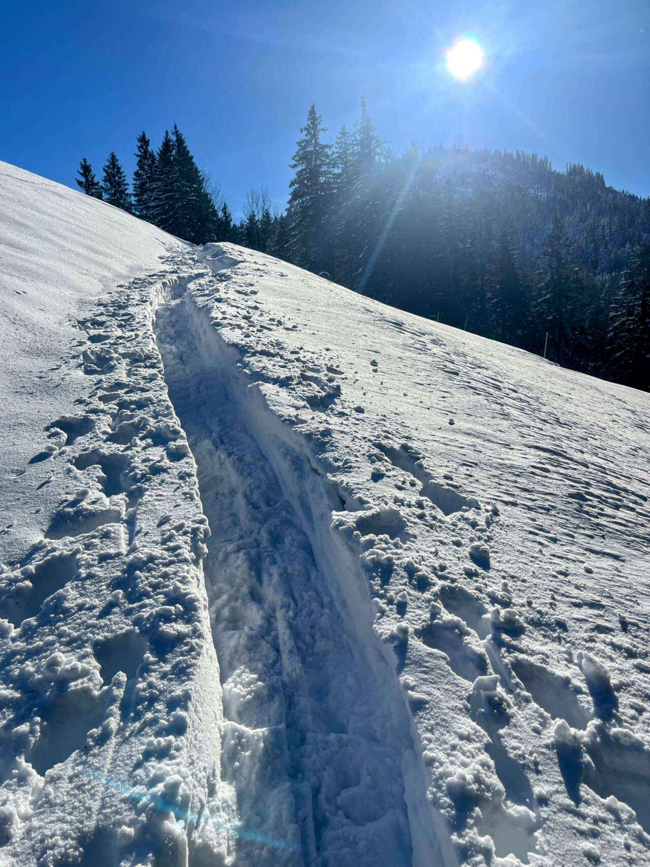 schneeschuhwanderung_rothenthurm-nüsselstock-brunni__IMG_5554