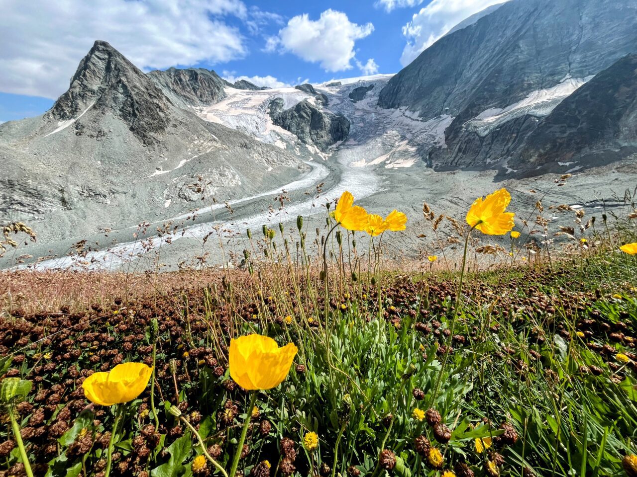 wanderung_alpenpaesseweg_etappe_27_arolla_cabane_de_dix_