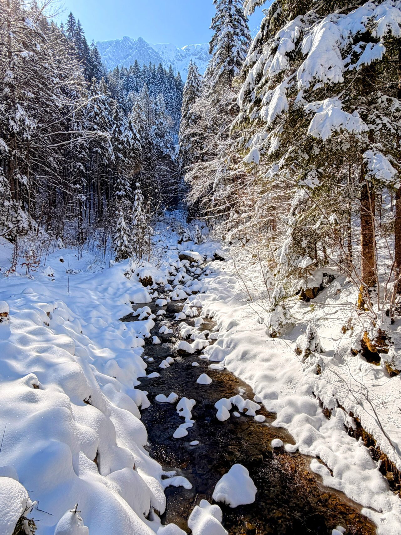 schneeschuhtour_lehmen_kronberg_chammhaldenhuette_schwaegalp__IMG_1300